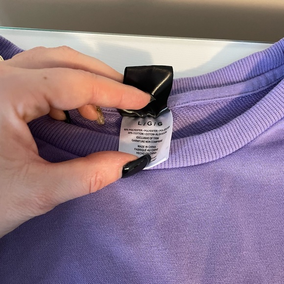 5$ ADD ON! Embroidered Lady and the Tramp sweatshirt in a beautiful purple - Picture 3 of 6